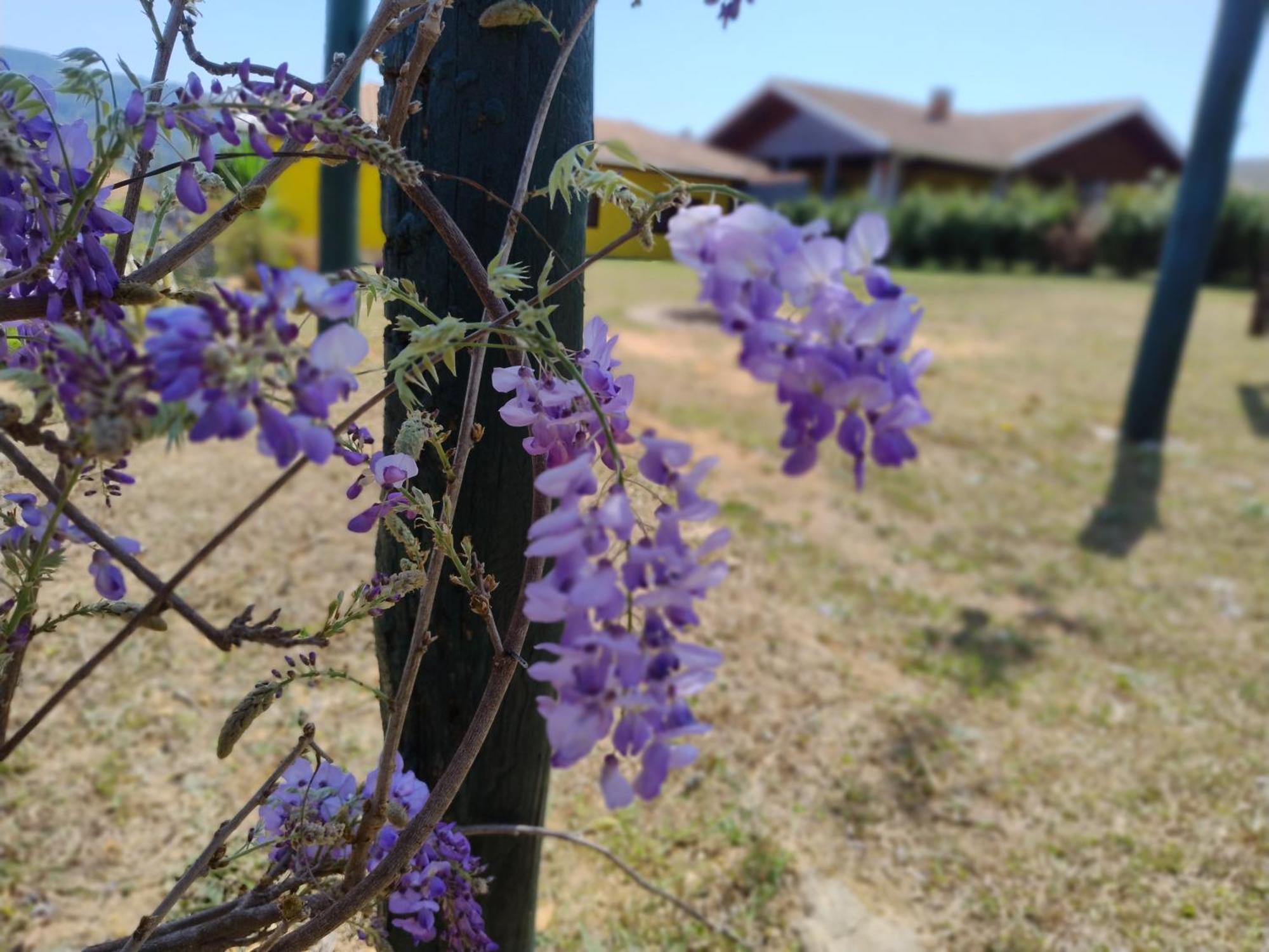 Casas Boa Vista Holiday home